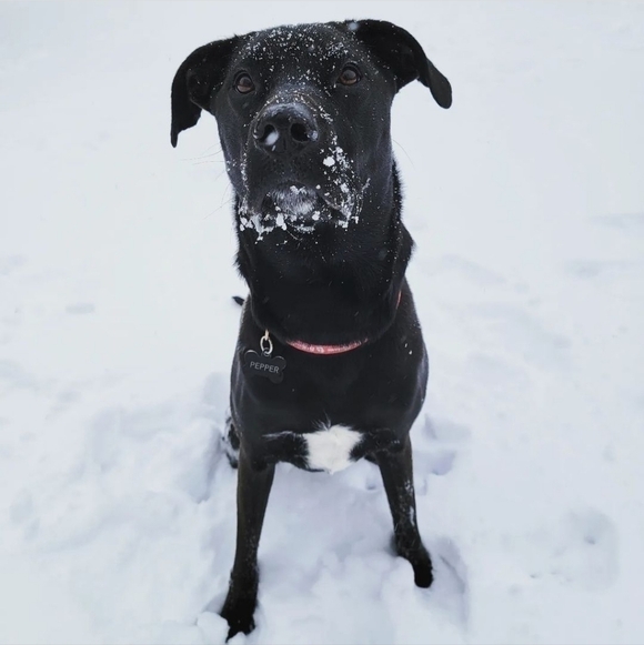 Let's make a deal! - Picture 2 of 3